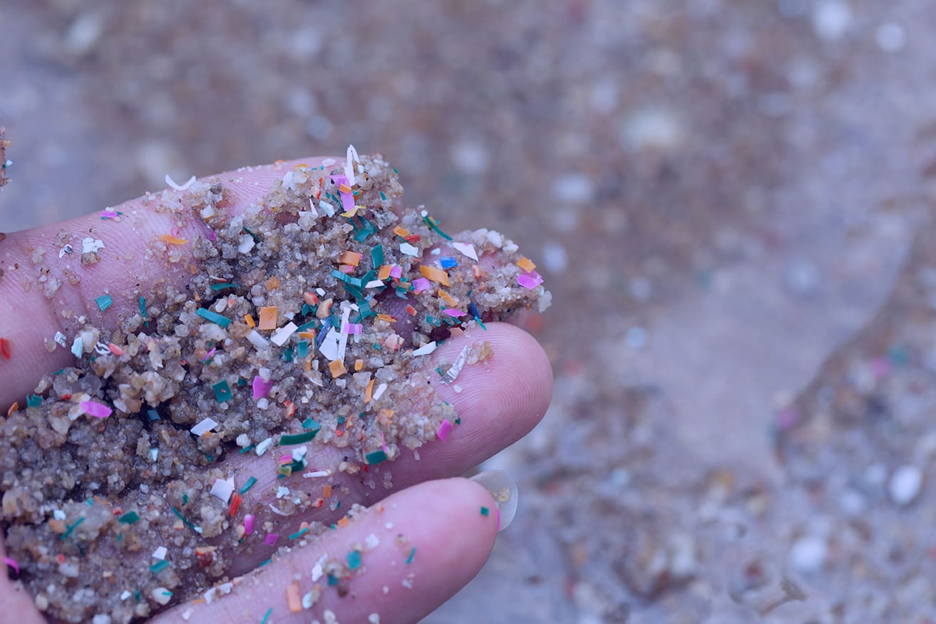microplastics and macroplastics