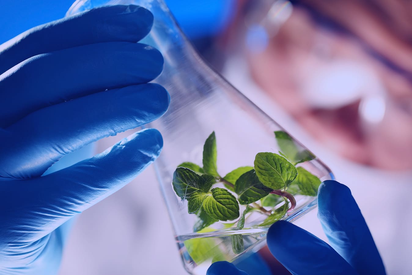 Green chemistry in coatings technology